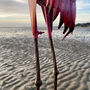 Flamingo Solar Garden Light, thumbnail 4 of 8