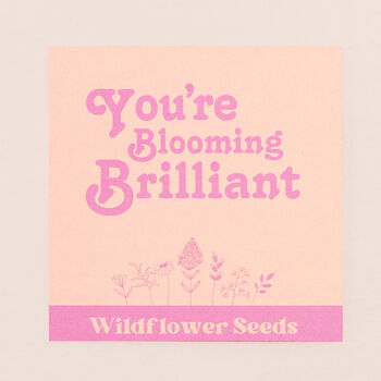 You're Blooming Brilliant Wildflower Seeds, 2 of 3