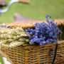 Dried Lavender Bunch, thumbnail 7 of 10