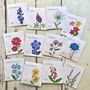 Gardening Gloves And Flower Garden Seed Kit To Sow Now, thumbnail 4 of 9