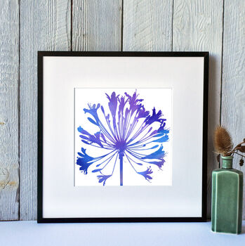 Agapanthus Number One, Fine Art Print, 3 of 4