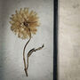 Small Antique Pressed Flower Frame: Straw Flower, thumbnail 3 of 8