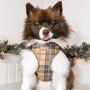 Check Him Out Step In Dog Harness, thumbnail 10 of 11