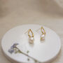 24ct Gold Plated Stud Freshwater Pearl Earrings, thumbnail 5 of 5