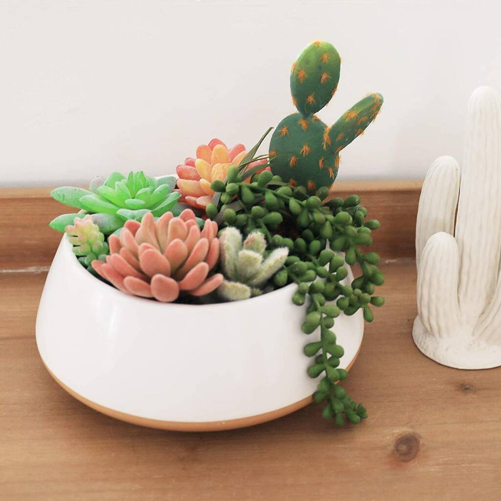 Large Ceramic Succulent Planter Pot With Drainage By Momentum