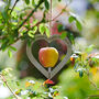 Personalised Heart Shaped Couples Metal Bird Feeder, thumbnail 3 of 4