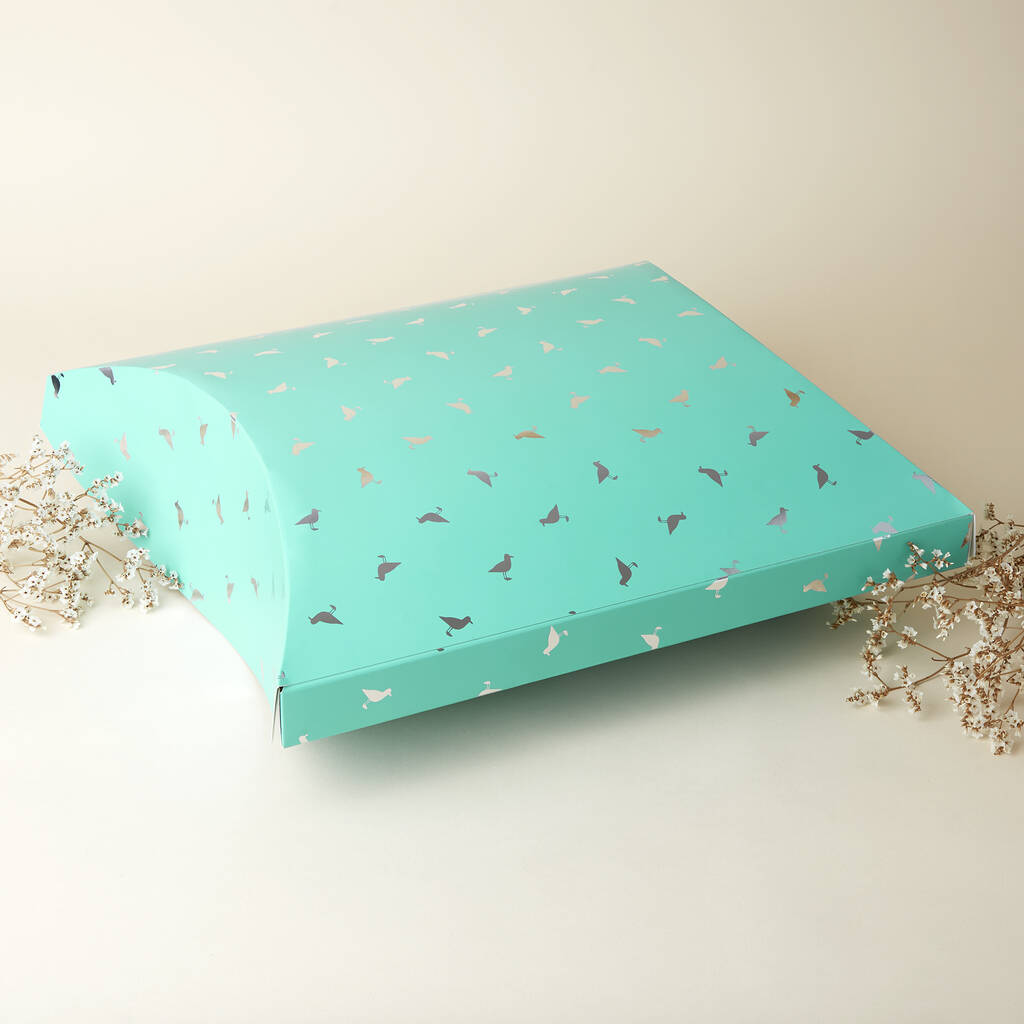 X Large Turquoise Seagull Pillow Pack Gift Wrap Box Bag