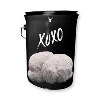 'XOXO' Lion's Mane Mushroom Grow Kit, 4 of 4