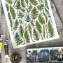 Ferns Of Britain Watercolour Postcard, thumbnail 5 of 9