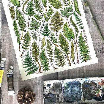 Ferns Of Britain Watercolour Postcard, 5 of 9