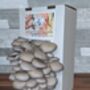 Ready To Grow Oyster Mushroom Growing Kit, thumbnail 7 of 9