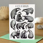 Wildlife Collective Nouns Greetings Card Pack, thumbnail 9 of 11