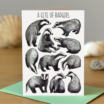Wildlife Collective Nouns Greetings Card Pack, 9 of 11