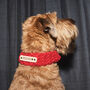 Hand Knitted And Personalised Dog Scarf, thumbnail 2 of 12