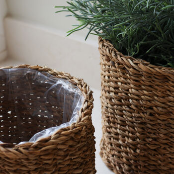 Natural Seagrass Indoor Plant Pot, 3 of 3