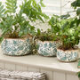 Set Of Three Turquoise Scalloped Planters, thumbnail 1 of 7