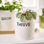 Grow Thrive Flourish White Ceramic Herb Mini Plant Pots, thumbnail 3 of 4