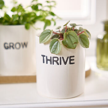Grow Thrive Flourish White Ceramic Herb Mini Plant Pots, 3 of 4