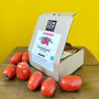 San Marzano Tomato Grow Your Own Kit, thumbnail 1 of 9