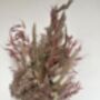 Blush Hydrangea Dried Flower Bouquet, thumbnail 5 of 6