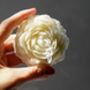 Peony Flower Candle, thumbnail 5 of 9