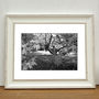 Boy And Girl In Woodland Photographic Art Print, thumbnail 1 of 4