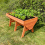 Large Raised Vegetable Planter With Three Liners, thumbnail 7 of 11