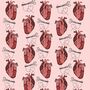 Anatomical Heart Wrapping Paper, thumbnail 5 of 5