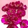 Large Hot Pink Bouquet Recycled Plastic Bottle Flowers, thumbnail 3 of 10