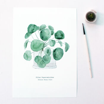 Chinese Money Plant Watercolour Print, 2 of 3