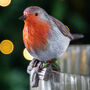 Ruby Robin Pothanger Decoration, thumbnail 1 of 2