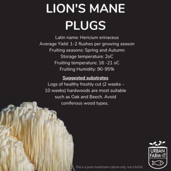 Lion’s Mane Mushroom Plug Spawn. Buy Mushroom Dowels, 4 of 4