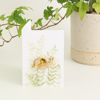 Sidney Snail Plant Hugger Decoration | Gift Card | Letterbox Gift, 3 of 5