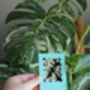 Personalised Wavy Instax Mini Frame, thumbnail 10 of 12