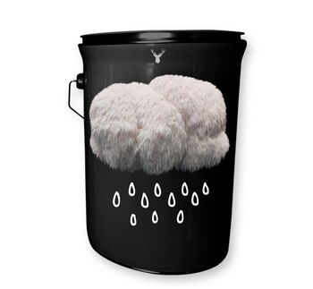 “Culinary Cloud” Lion’s Mane Mushroom Grow Kit, 4 of 4