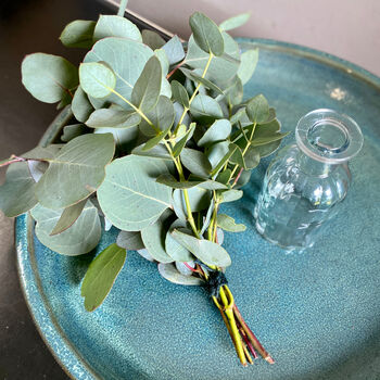 Fresh Eucalyptus Bud Vase Gift Set, 7 of 9