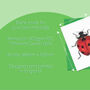 Hand Drawn Ladybird Illustrated Blank Greeting Card, thumbnail 7 of 10