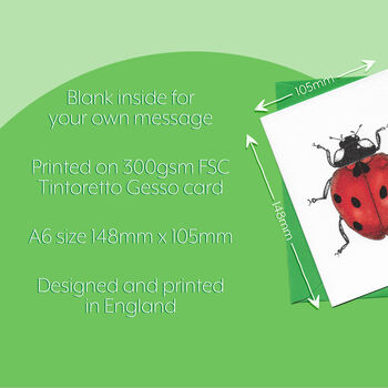 Hand Drawn Ladybird Illustrated Blank Greeting Card, 7 of 10