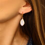 Almond Moonstone 18ct Gold Vermeil Hook Earrings, thumbnail 1 of 5