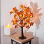 LED Warm White Light Up Maple Leaf Autumn Tree, thumbnail 9 of 9