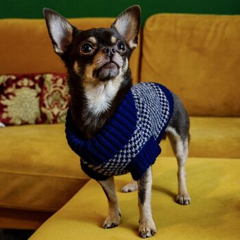 Monti Sustainable Dog Jumper, 4 of 9