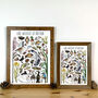 Lake Wildlife Of Britain Wildlife Print, thumbnail 4 of 9