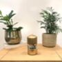 Gold Pillar Candles Two X Candle Pack 130mm X 68mm, thumbnail 2 of 3
