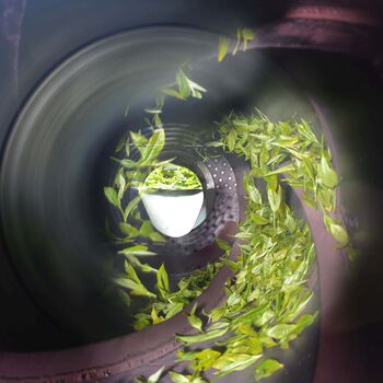 Solar Chai 50g, 7 of 8