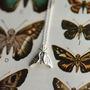 Delicate Moth Silver Necklace, thumbnail 5 of 8