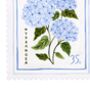 Hydrangea Art Print, thumbnail 7 of 7