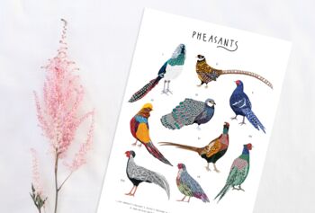 Types Of Pheasants Print, 3 of 3