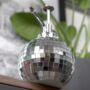 Disco Ball Plant Mister, thumbnail 2 of 4