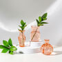 Set Of Three Coral Pink Glass Retro Vases, thumbnail 2 of 4