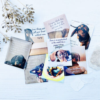 Sausage Dog Gifts: Dachshund Lovers Tea Gift Set, 11 of 12